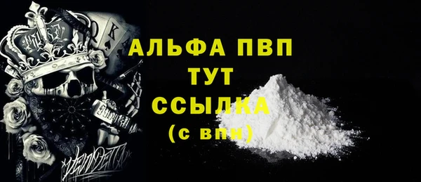 стаф Белокуриха
