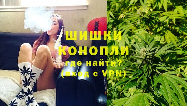 стаф Белокуриха