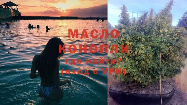 прущие грибы Переславль-Залесский