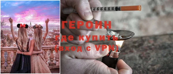 прущие грибы Переславль-Залесский