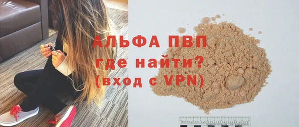 прущие грибы Переславль-Залесский