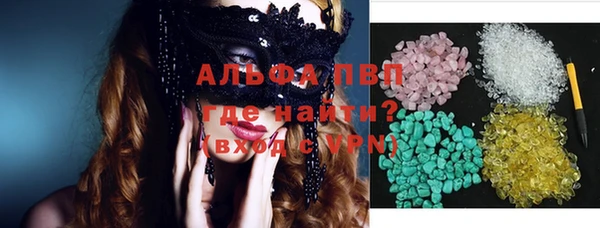 стаф Белокуриха